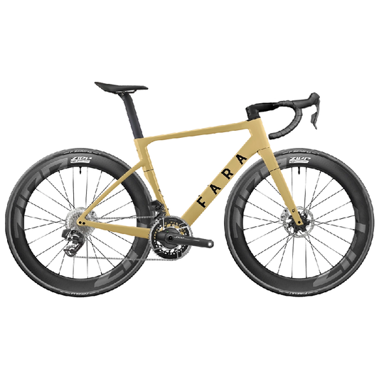 FARA Cycling - Road Bike - Strand - Nuremberg Germany - Full view